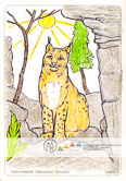 Die Postkarte zum Ausmalen; Postkarte Luchs. Beliebtes Motiv, das
Spielraum für flächige
als auch detaillierte
Gestaltung bietet. Der
Luchs ist Wahrzeichen
und Wappentier des Nationalparks
Sächsische
Schweiz und z. B. an der
Bergstation des Aufzugs
in Bad Schandau im
Tiergehege zu sehen.